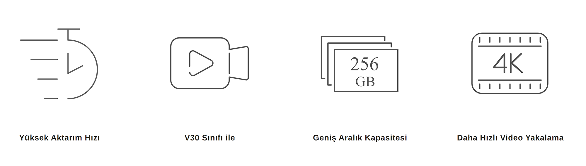 Lexar 256GB High-Performance 800x SD Card