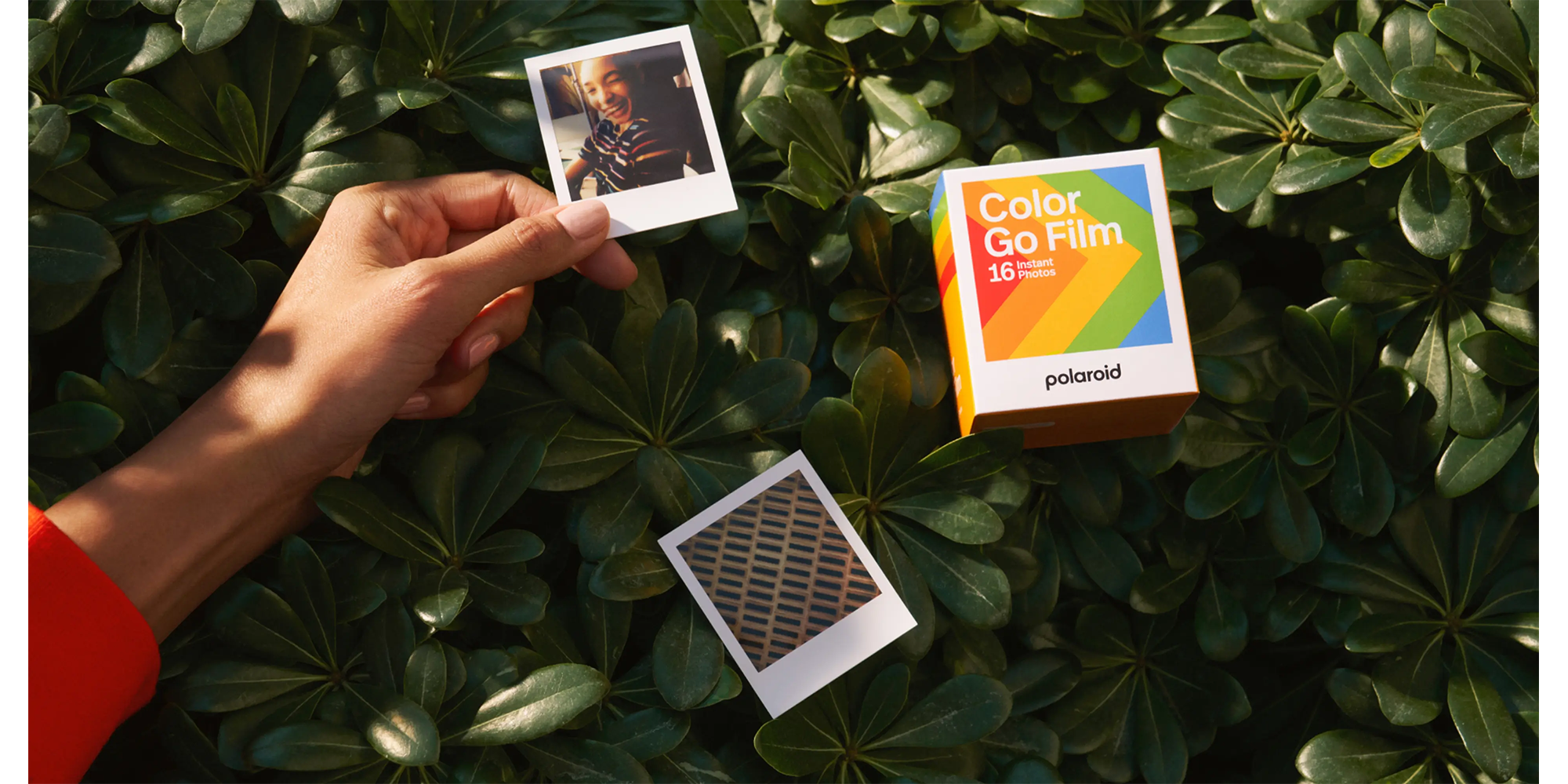 Polaroid Go Film – Double Pack (Renkli Film) (4)