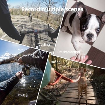 Telesin Cep Telefonu Neck Mount