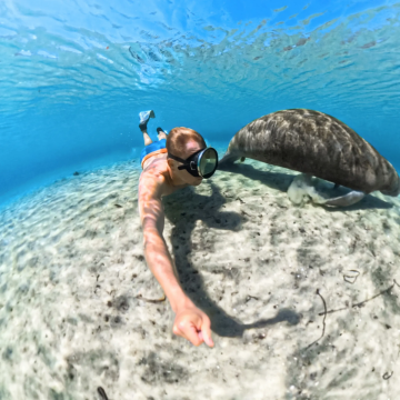 Insta360 X5 İnvisible Dive Case