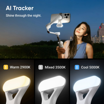 Insta360 Flow 2 (AI Tracker Bundle)