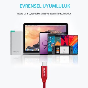 INCORE inLine USB-C Type-C 1 Metre Gümüş Örgülü Hızlı Şarj Kablo