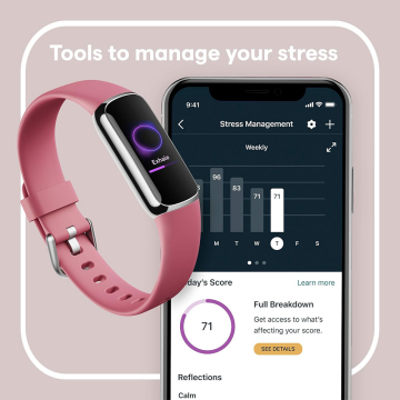 Fitbit Luxe (Yaban Mersini)