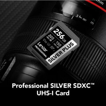 Lexar Professional SILVER PLUS 256 GB SDXC Hafıza Kartı (205 MB/s)