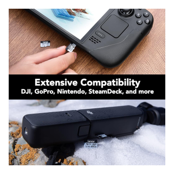 Lexar Micro SDXC 256GB Professional Silver Plus