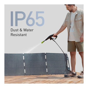 Segway SP 200 Solar Panel